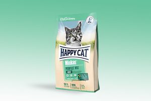 غذای خشک گربه Cat Dry Food